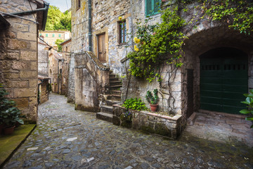 Fototapeta na wymiar Green corners of old abandoned Tuscan town on a hill.