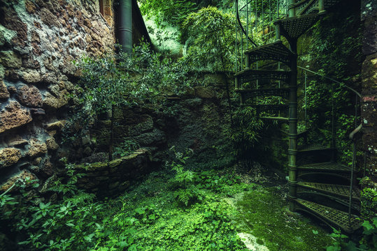 Fototapeta Zielone rogi starego opuszczonego toskańskiego miasteczka na wzgórzu.