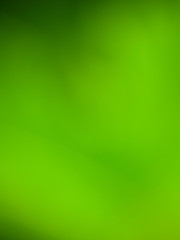 natural green background