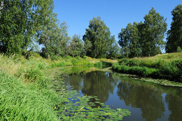 Fototapeta na wymiar Small river in summer