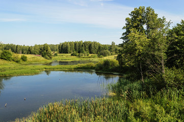 Fototapeta na wymiar Small forest lake in summer
