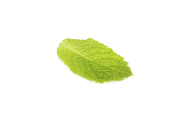 Naklejka na ściany i meble Fresh mint leaf isolated on a white