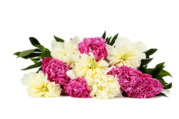 Bouquet of peony flowers isolated on a white