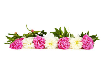 Bouquet of peony flowers isolated on a white