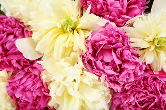 Bouquet of peony flowers background, close up