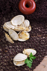 clams in fishing net