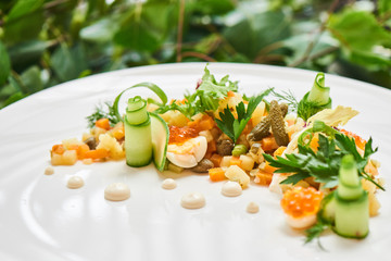 Healthy tomorrow of Russian salad served on a white plate
