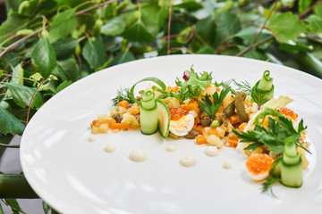 Healthy tomorrow of Russian salad served on a white plate