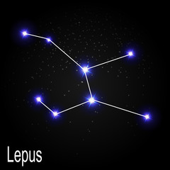 Fototapeta na wymiar Lepus Constellation with Beautiful Bright Stars on the Backgroun