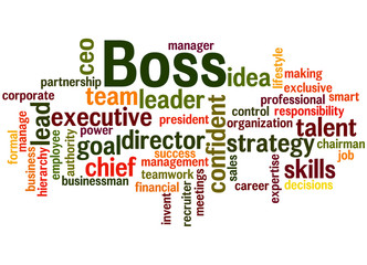 Boss, word cloud concept 5