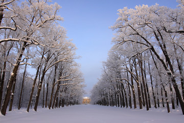 Avenue of winter park