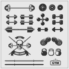 Vector set of gym equipment and design elements.