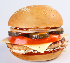 The perfect hamburger.