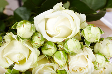 White rose flowers bouquet