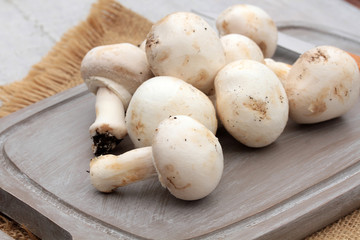 champignons 04062016