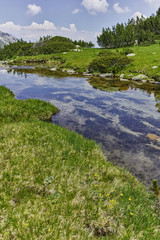 Amazing landscape of green hills and mountain river in Pirin Mountain, Bulgaria