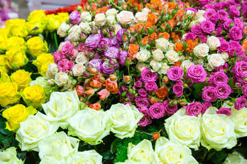 Colorful flowers
