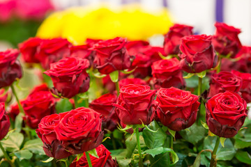 Bouquet of red roses