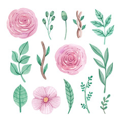 Fototapeta premium Watercolor flowers