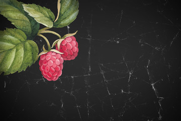 Watercolor raspberry illustration - 112493212
