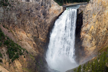 View of Lower Yellowstone Falls