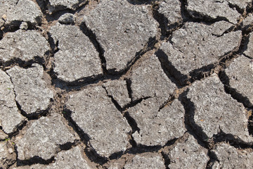 Fototapeta premium Dry soil with dramatic cracks caused by the lack of water
