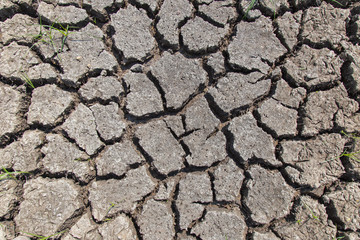 Dry soil with dramatic cracks caused by the lack of water