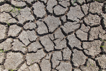 Dry soil with dramatic cracks caused by the lack of water
