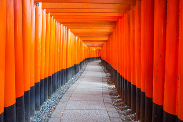 Thousands of vermilion torii gates at Kyoto Fushimi Inari Shrine
