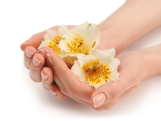 Woman hands with beautiful manicure and white lily isolated on white background