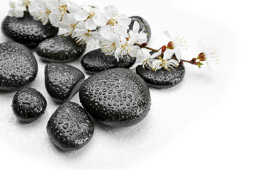 Obraz na płótnie Canvas Spa stones with blooming branch on white background