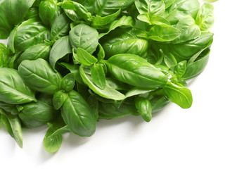 Fresh basil leaves on white background