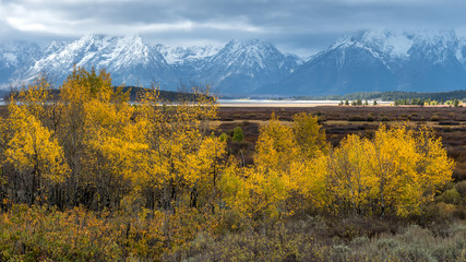 Autumn in the Grand Tetons