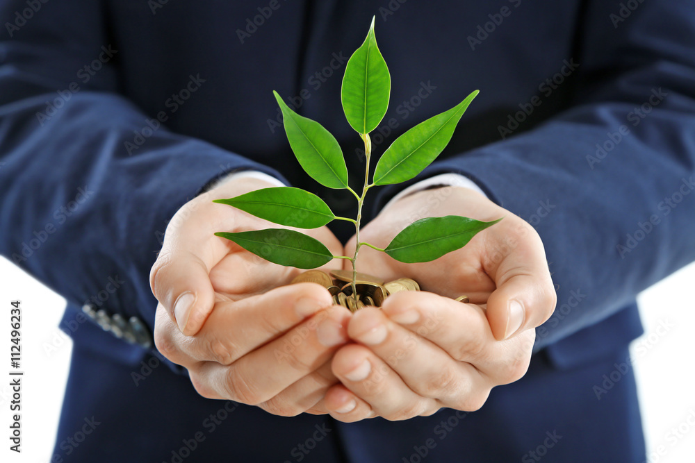 Poster Hands holding plant sprouting from a handful of coins on white background