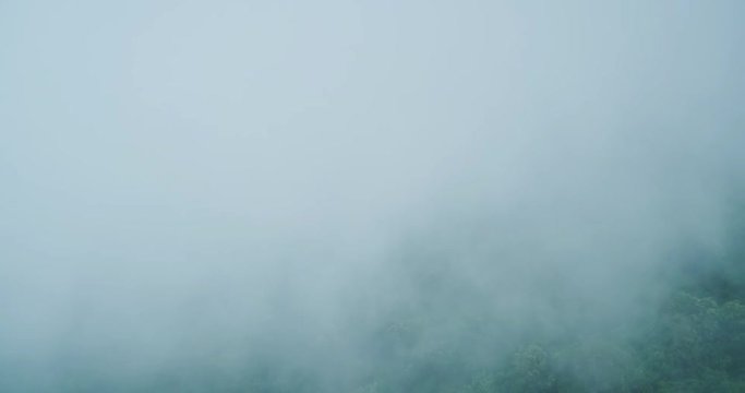 Misty forest, aerial view flying through the clouds