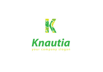 letter K logo Template for your company