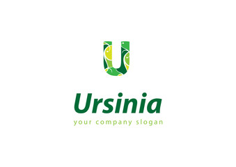 letter U logo Template for your company