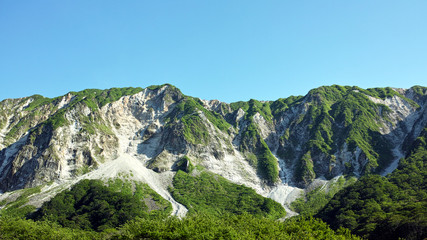 夏の大山　北壁