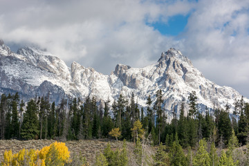 Fototapeta premium Scenic view of the Grand Teton National Park