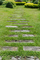 Concrete Pathway in garden