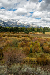 Fototapeta na wymiar Scenic view of the Grand Teton National Park
