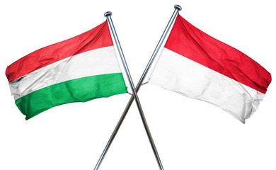 Hungary flag with Indonesia flag, 3D rendering