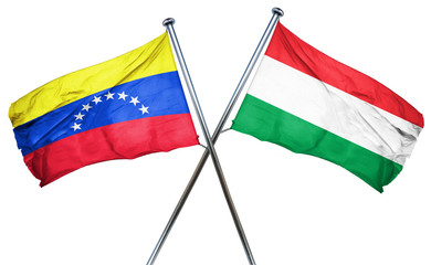 Venezuela flag with Hungary flag, 3D rendering