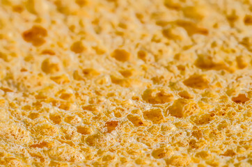 sponge texture