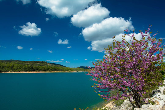 Fr&uuml;hling am See