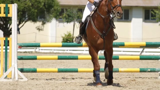 Horse jumping on a hurdle.Slow motion.