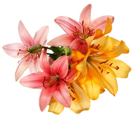 Küchenrückwand glas motiv Blumen Pink and orange lilies
