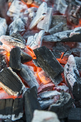 Fire burning coals