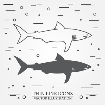 Vector thin line icon and  silhouette  shark. For web design and application interface, also useful for infographics. Vector dark grey. Vector illustration.