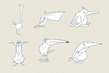 Set of cute cartoon bird isolated on white background. Vector animal illustration.